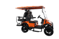 Pulse 4 Seater 2x2 w/bed